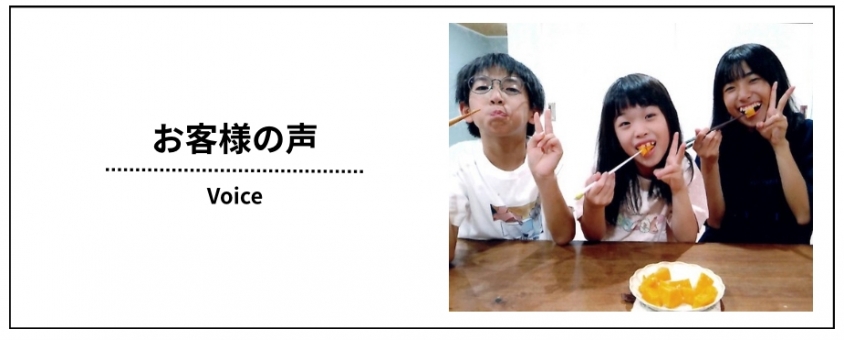 voice1
